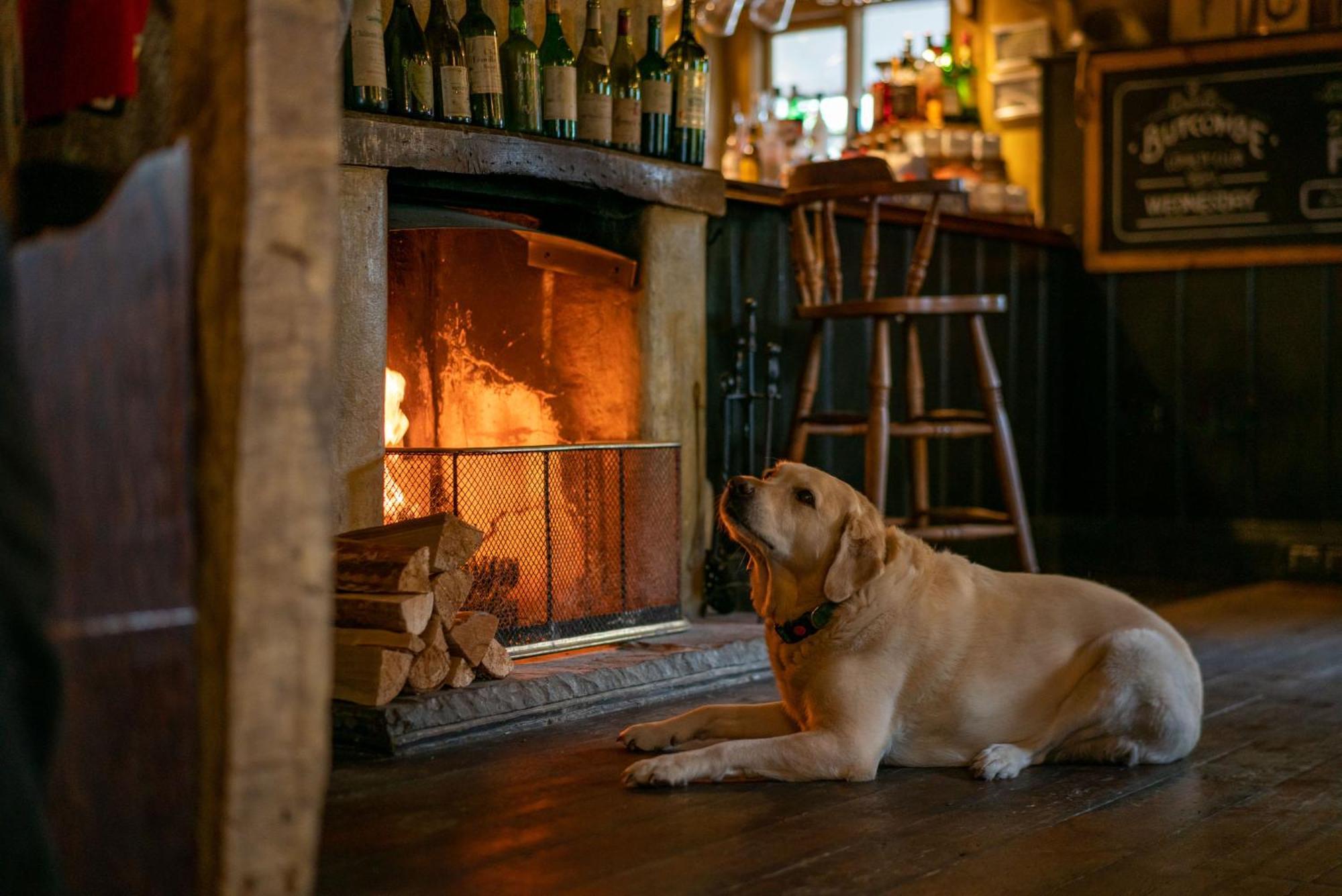 The Anchor Inn Lower Froyle Екстер'єр фото