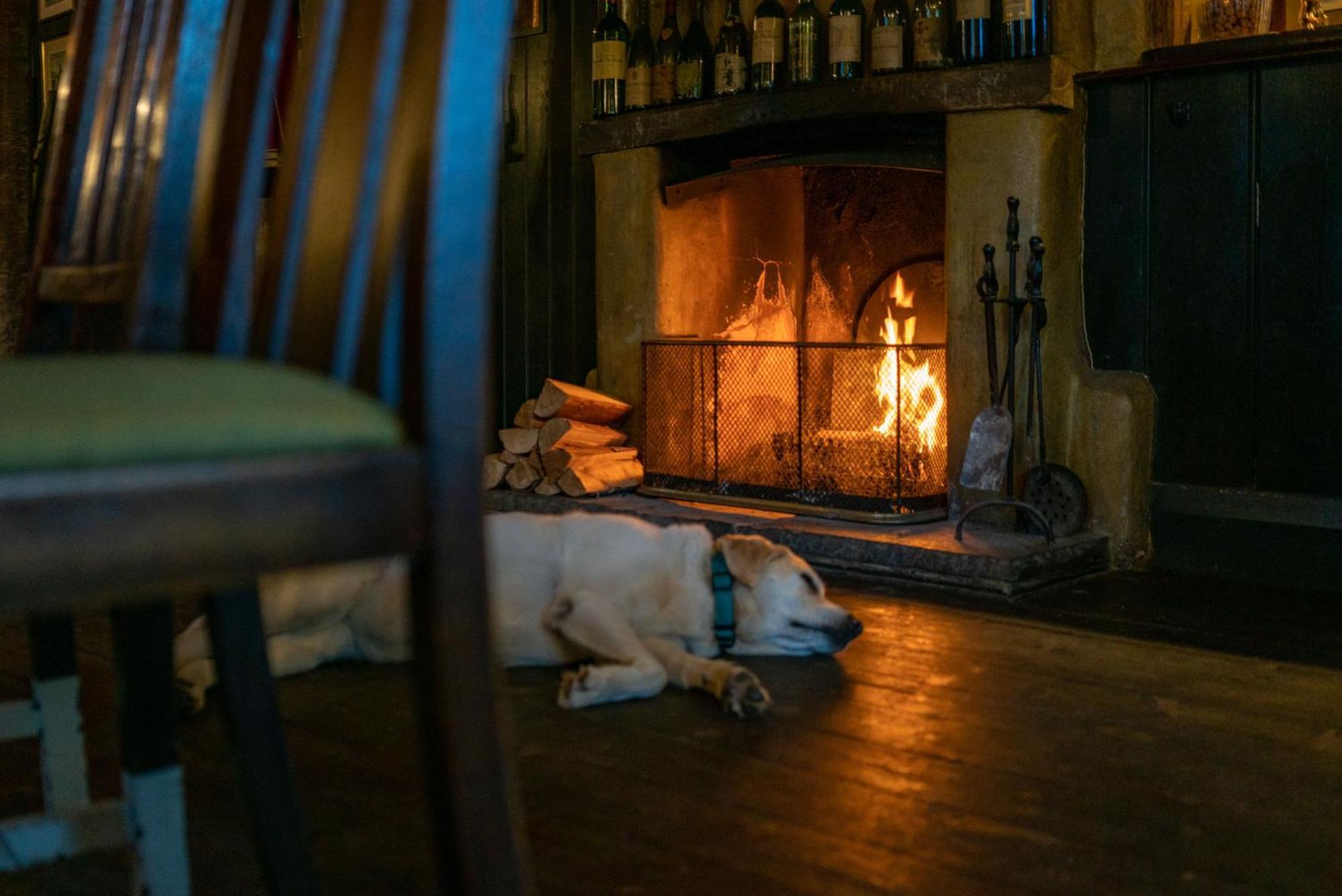The Anchor Inn Lower Froyle Екстер'єр фото